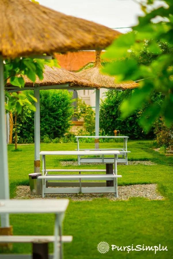 Pur Si Simplu Adults Only Hotel Vama Veche Exterior photo